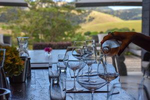 The Rise of Wine-Branded Residences: Vineyards, Views, and Villas