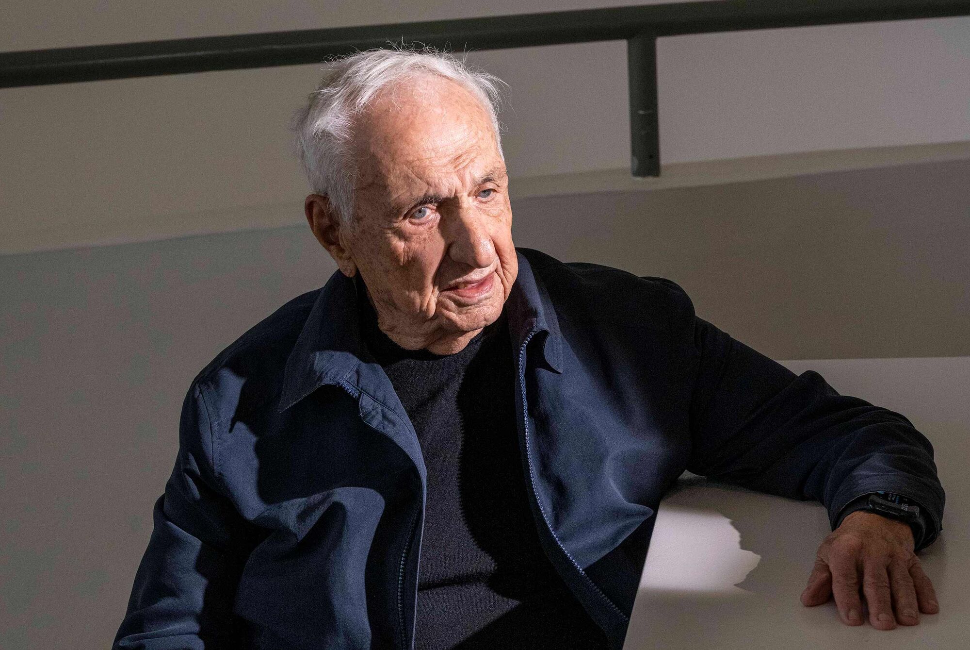 In Memoriam Mourning Two World- Renowned Architects Frank Gehry