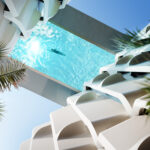 Rooftop pool at The Delmore surrounded by palm trees