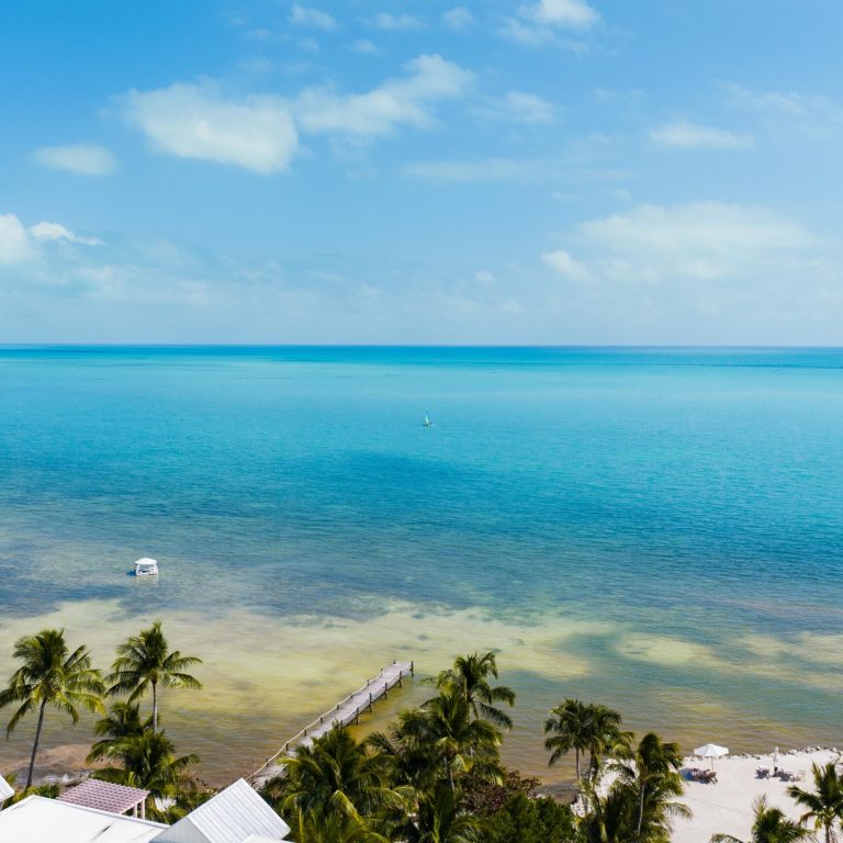 The “Ski Resort with Palm Trees” You Didn’t Know Existed Grassy Flats